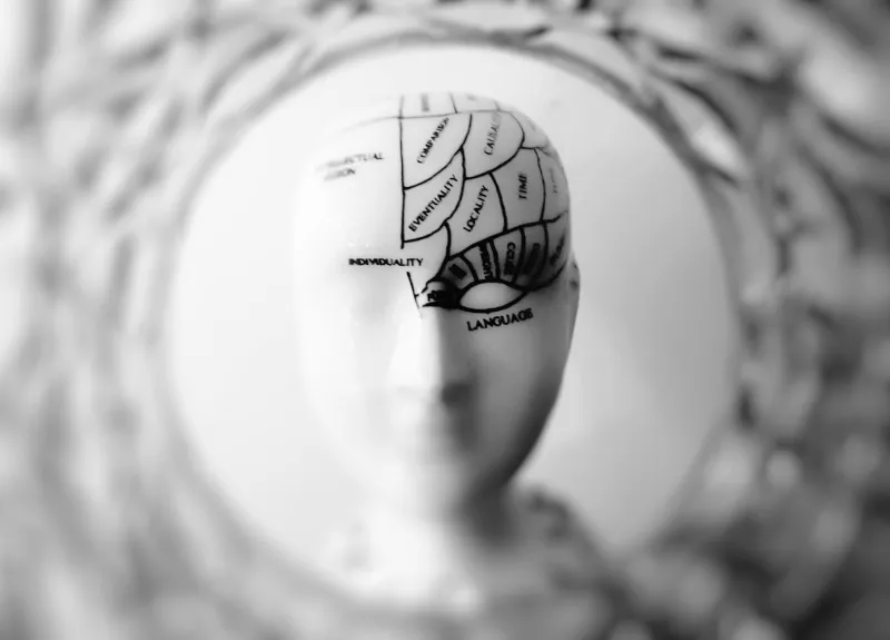 Beyond Bilingual: How the Polyglot Brain Forges an Entirely New Neural Map With Each Added Language