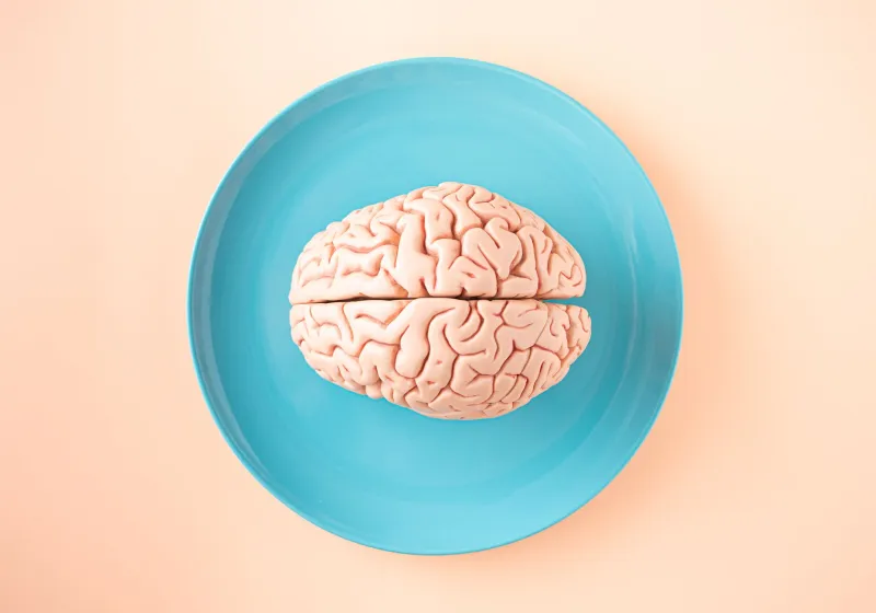 The Grammar Gap: Why Adult Brains Resist New Syntax—And What Science Says You Can Do About It
