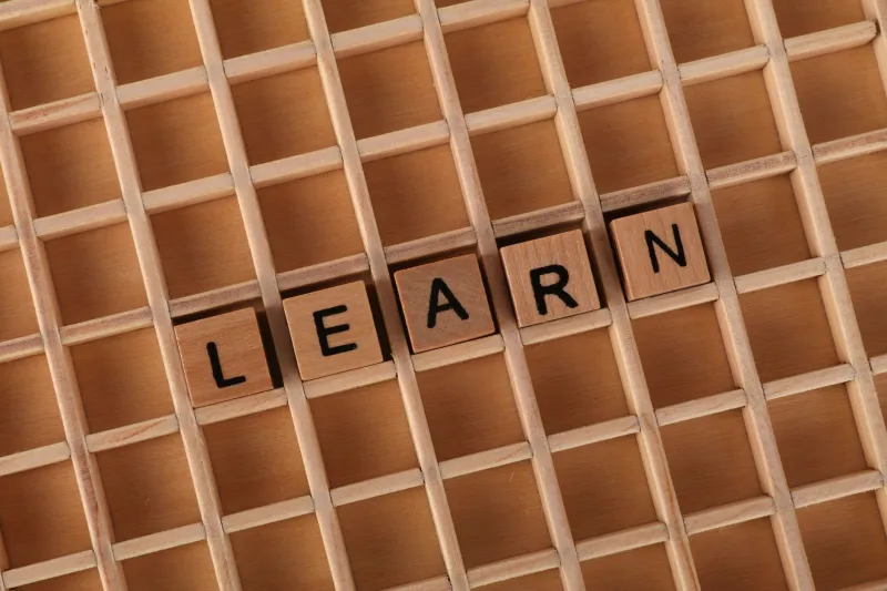 So Close, Yet So Gone: The Neuroscience of That Word You Almost Remember