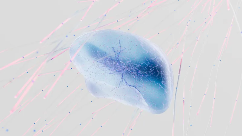 Wired for One Tongue: The Neuroscience of Why Foreign Sounds Stay Forever Foreign
